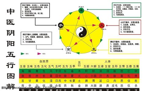 碩 五行|五行